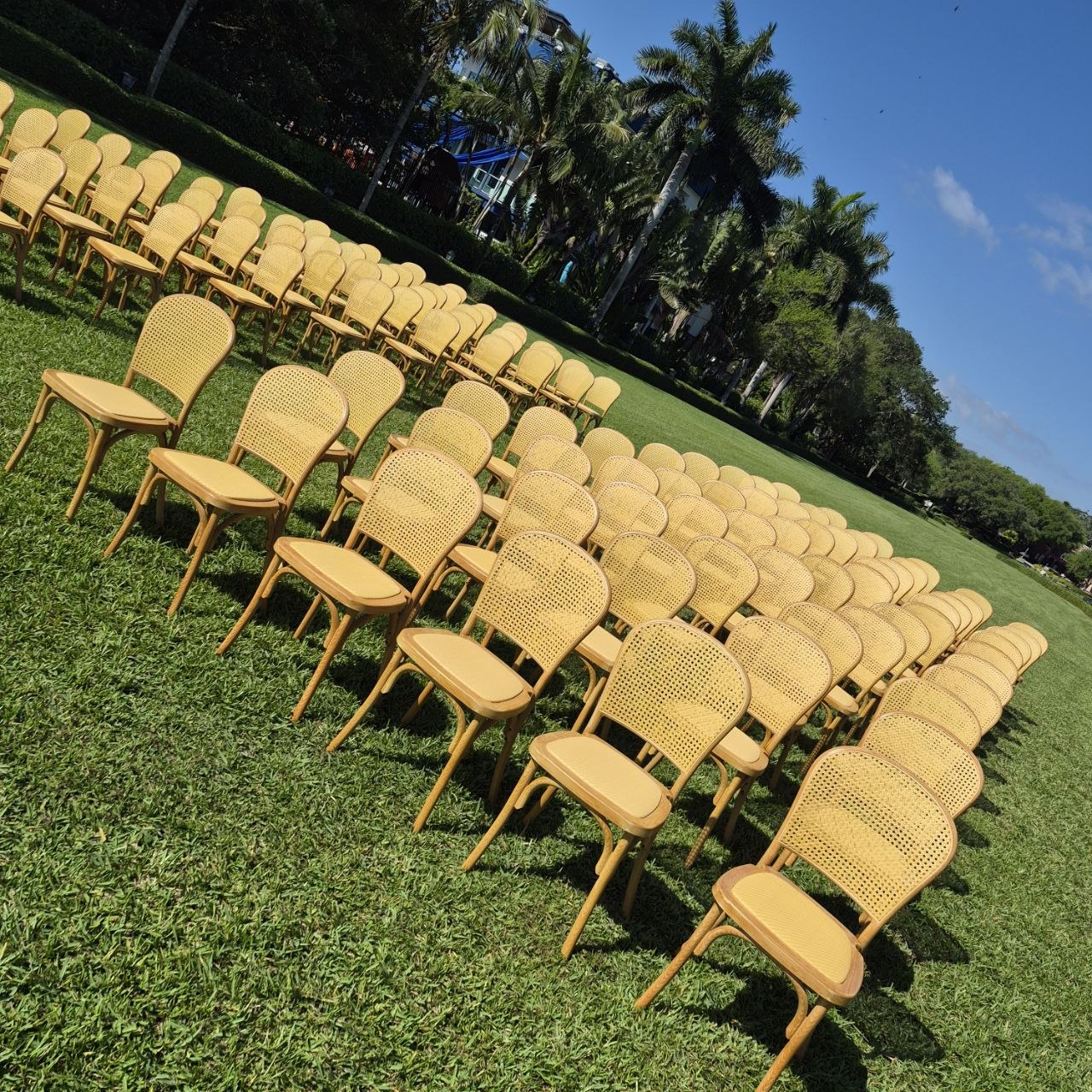 Cane chairs close-up — ceremony detail